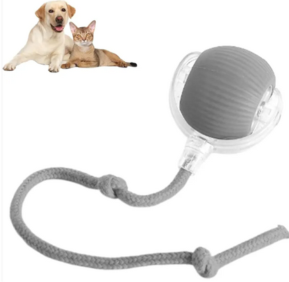 Slimme Automatische Rollende Speelbal voor Katten en Honden